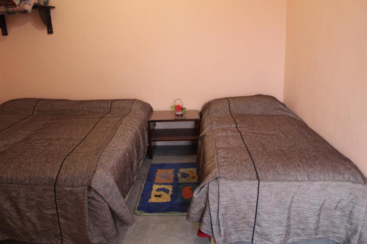 Chez L'Habitant Zagora Dış mekan fotoğraf