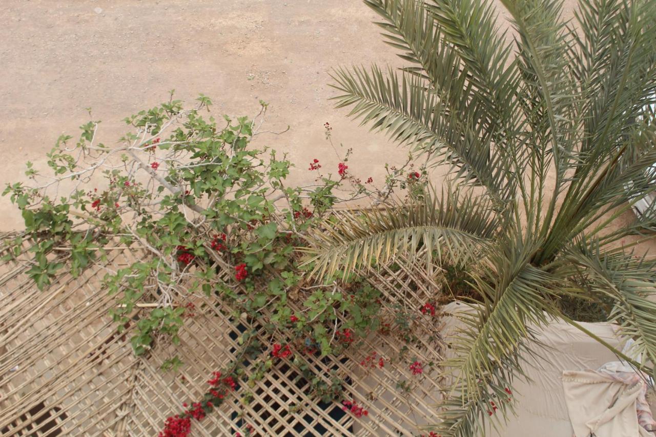 Chez L'Habitant Zagora Dış mekan fotoğraf
